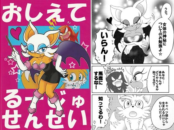 おしえてるーじゅせんせいのタイトル画像