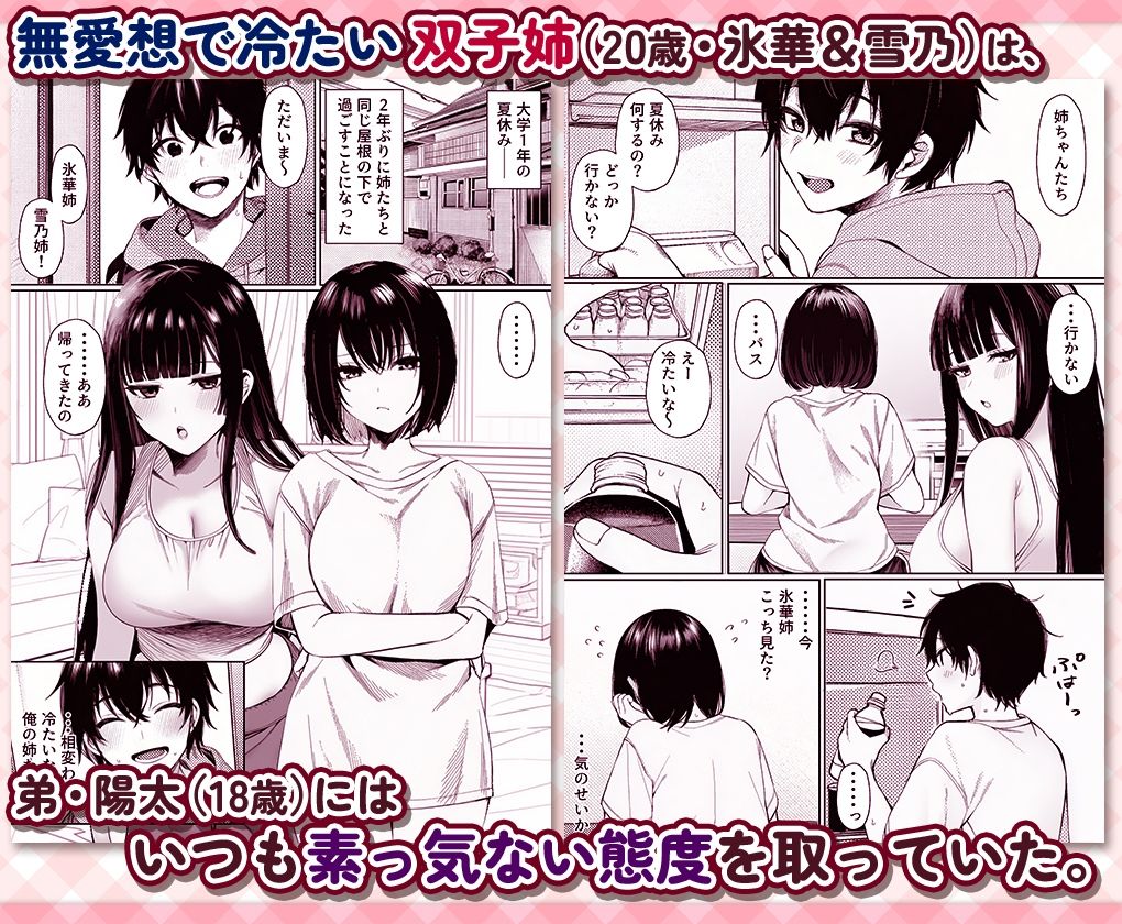 無愛想な双子姉妹（20）が弟にだけ身体で素直すぎる件 画像1
