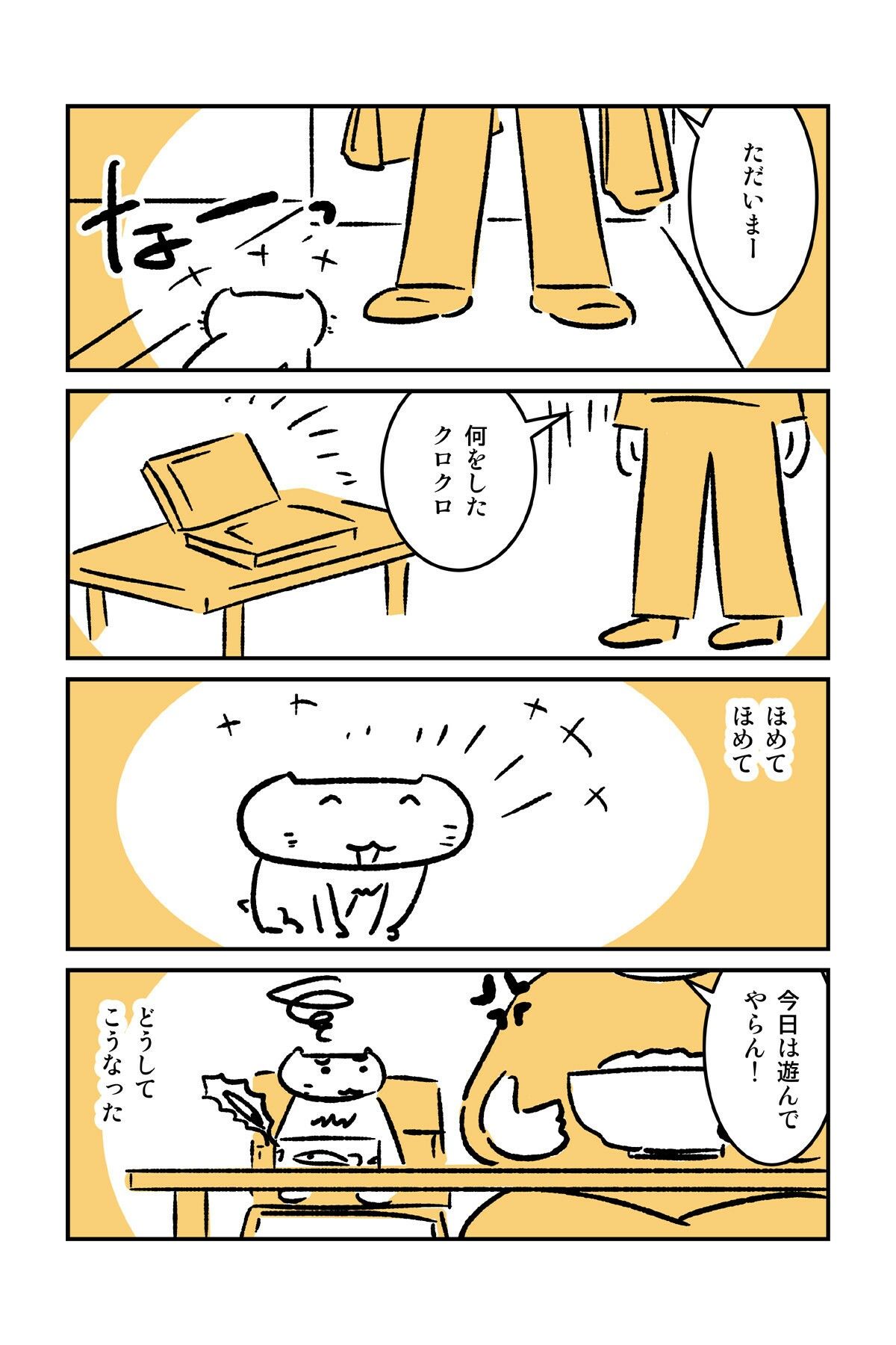 番猫クロクロ  のんびり暮らし 画像8