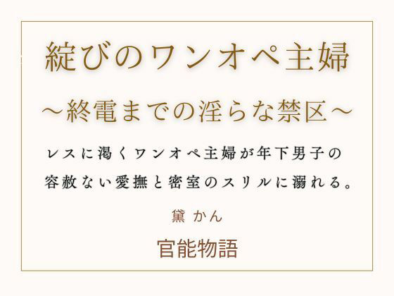 綻びのワンオペ主婦  〜終電までの淫らな禁区〜