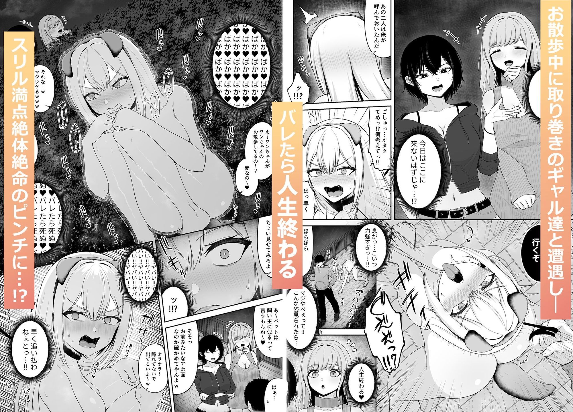 サンプル画像5