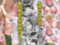サンプル5