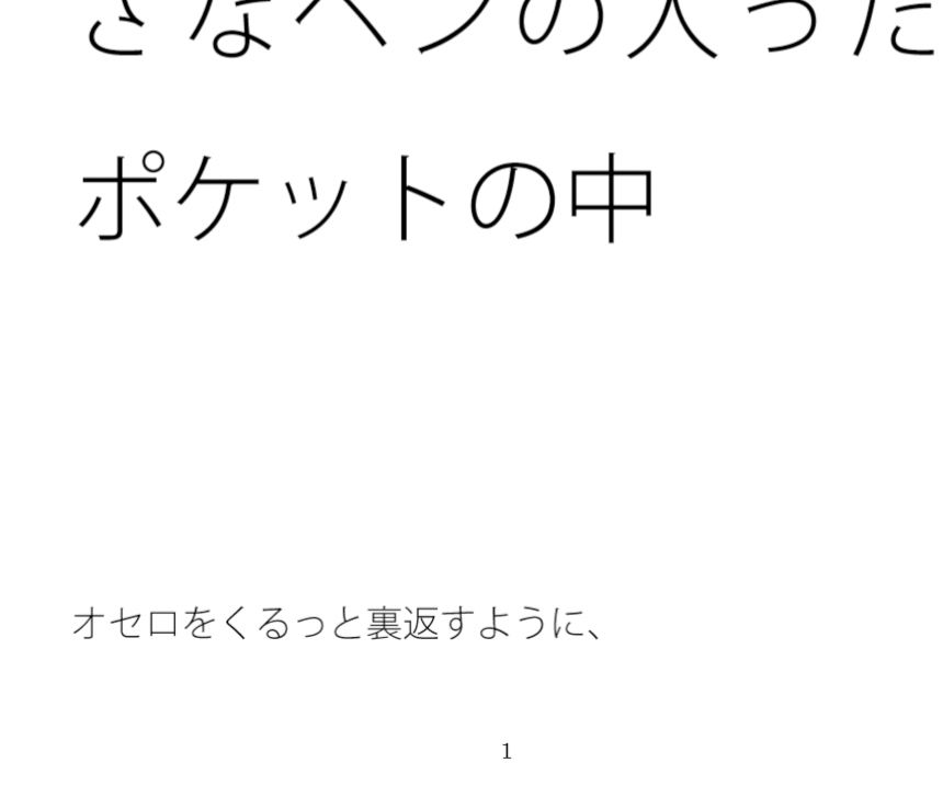 瞬間的に戻る白黒宇宙の先端・・でも対応は難しい 小さなペンの入ったポケットの中 画像1