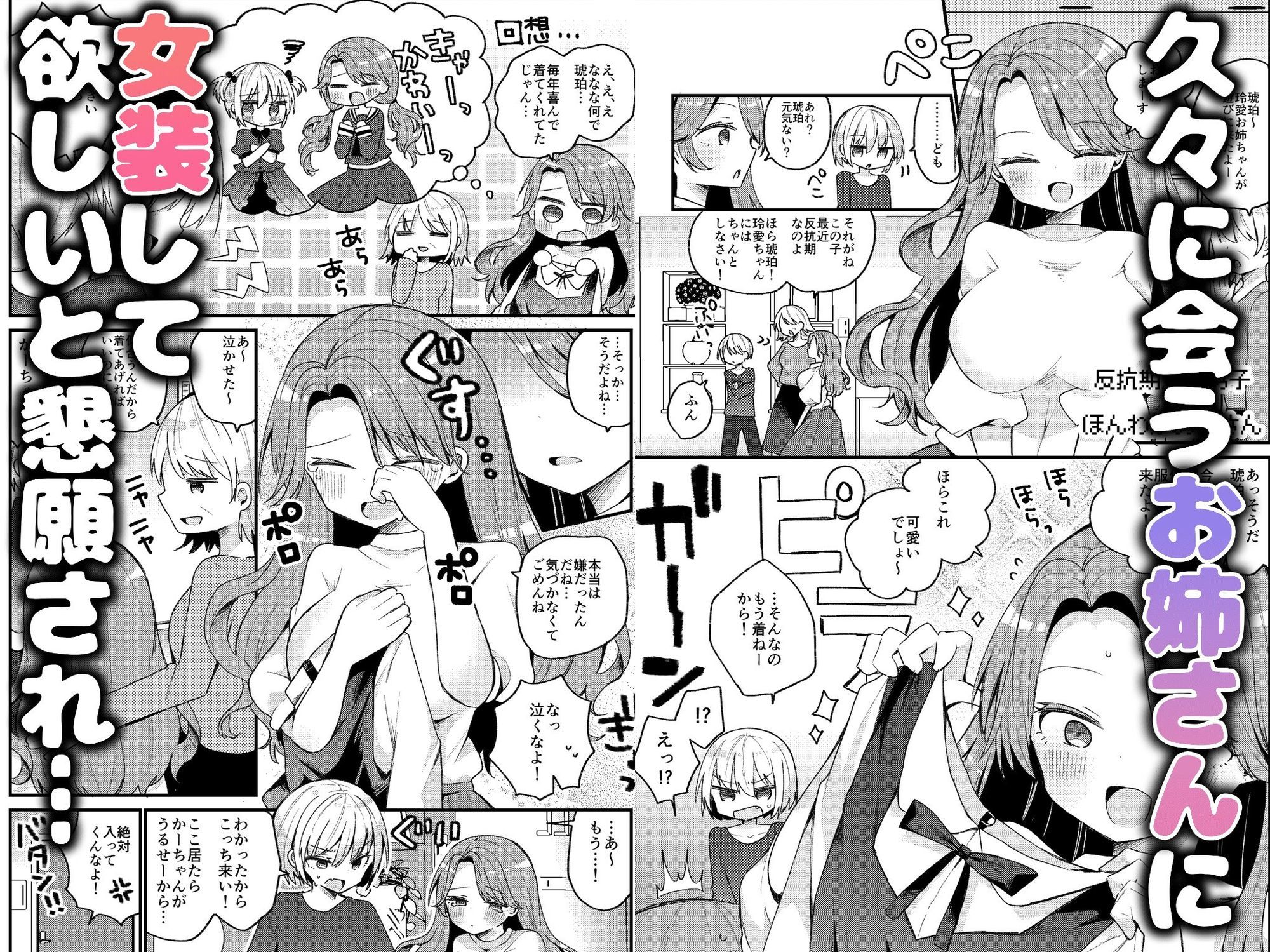 お姉さんが女装男子をめちゃくちゃにする本 画像1