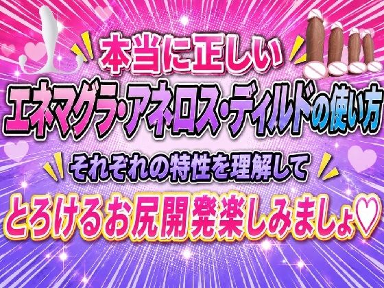 本当に正しい エネマグラ・アネロス・ディルドの使い方 それぞれの特性を理解して  とろけるお尻開発楽しみましょ サンプル1