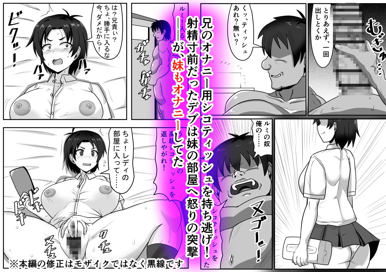 二軍妹と童貞デブ兄貴 画像2