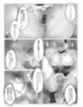 カントボーイ型セクサロイドがご奉仕 サンプル画像 5