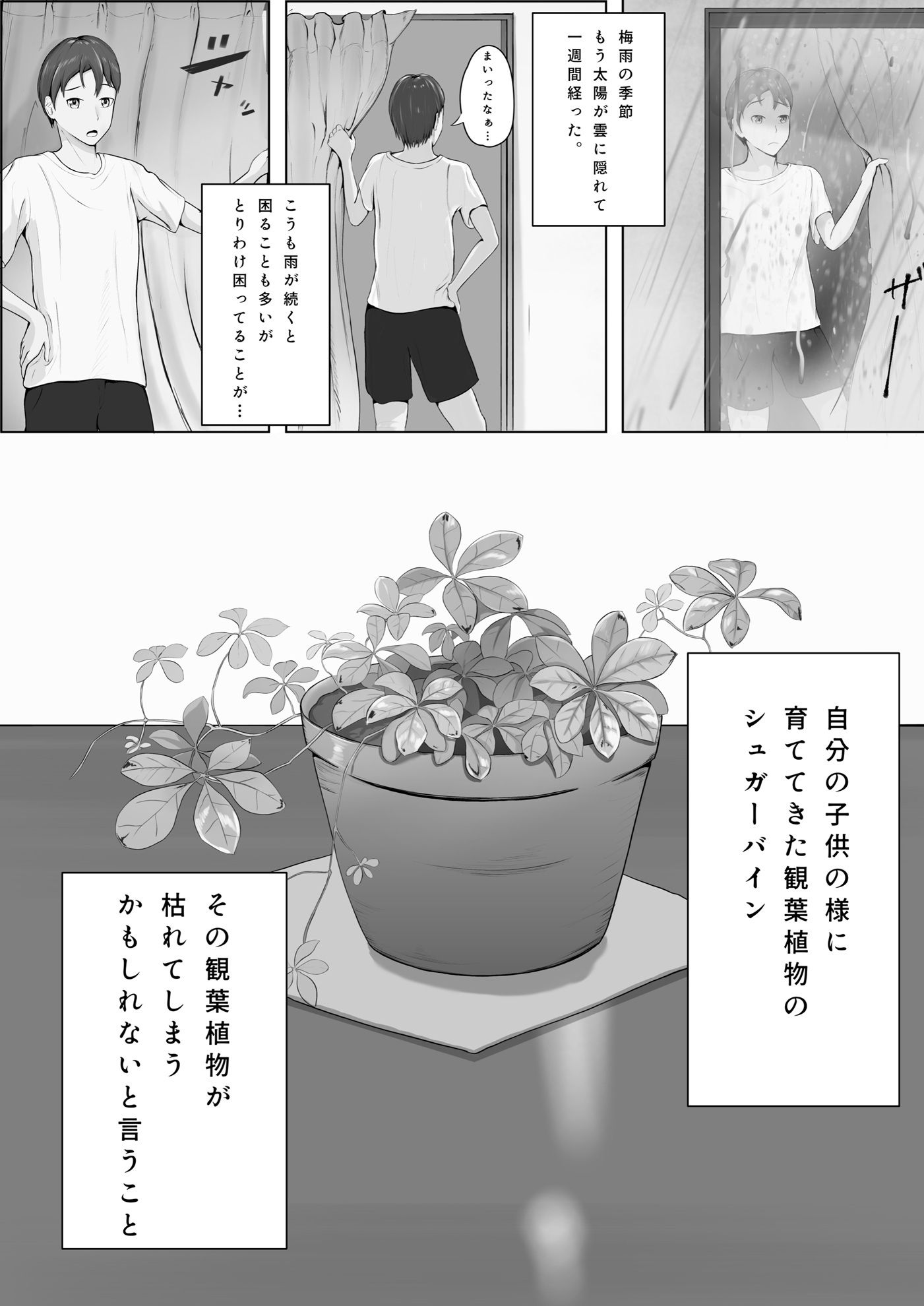 水やりおねがいします!!_2