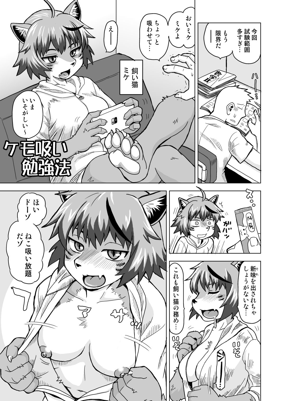 ネコモリアワセ 画像2