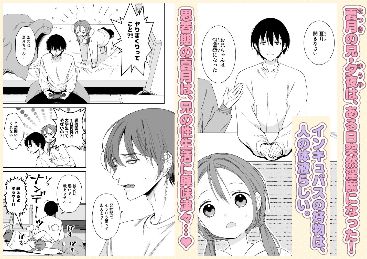 兄が淫魔になったので