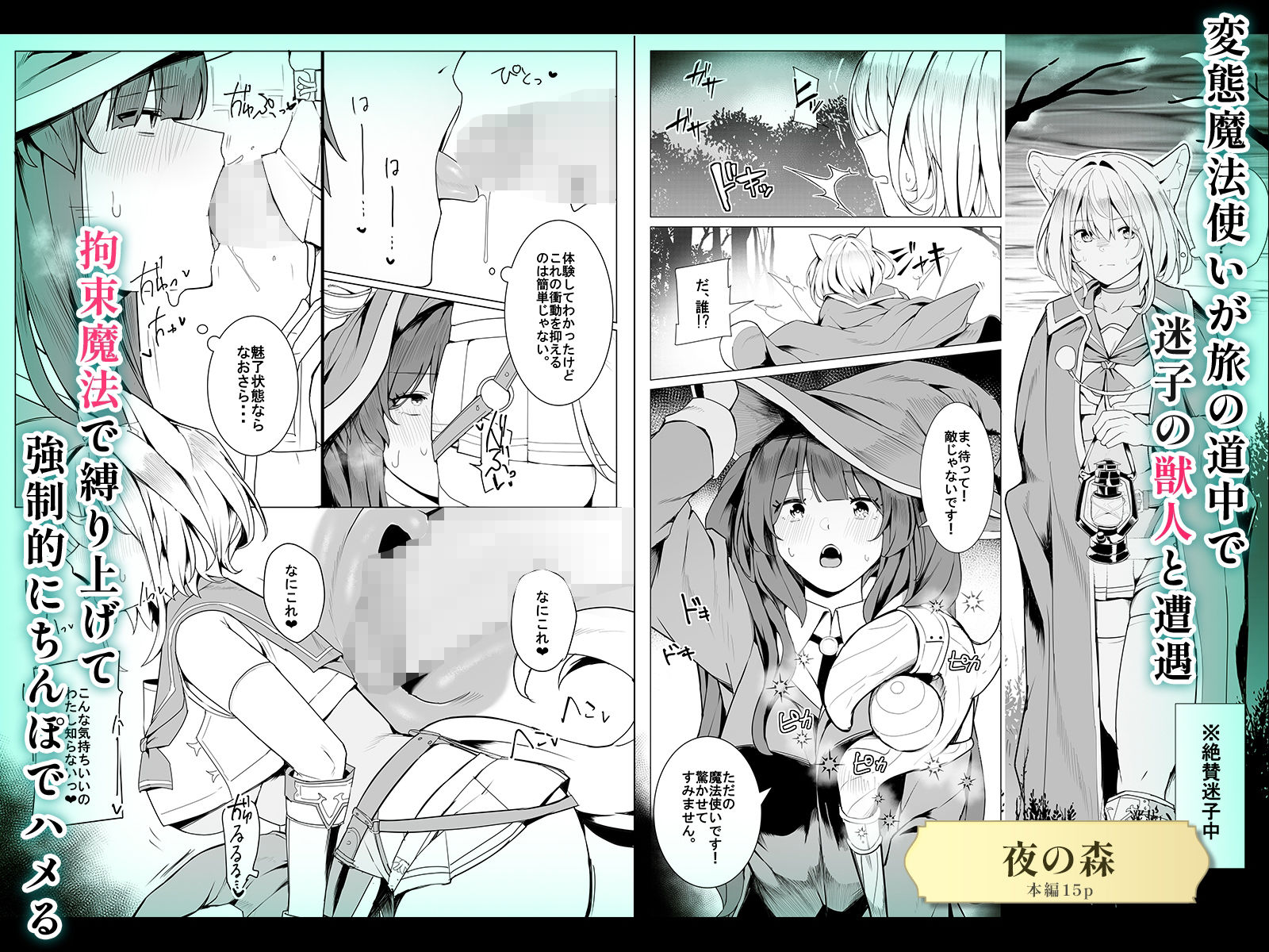 【6作品収録】ふたなり短編作品集【JK、魔法使い、獣人】 サンプル4