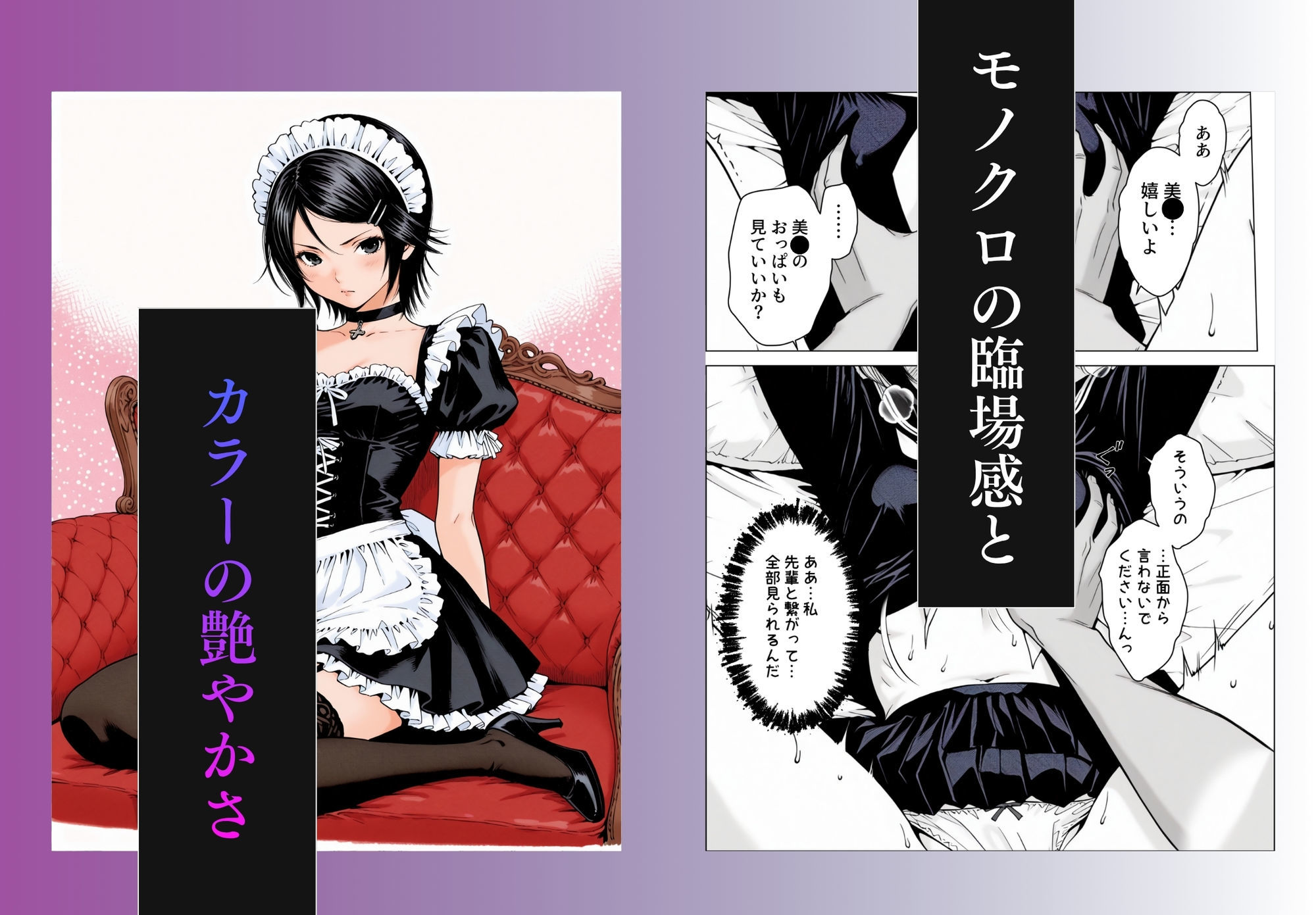 サンプル画像6
