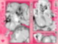 黒ギャルの恩返し‐社畜おじが褐色巨乳ギャルをナンパから助けたらいちゃらぶ純愛交尾した話‐試し読み9ページ