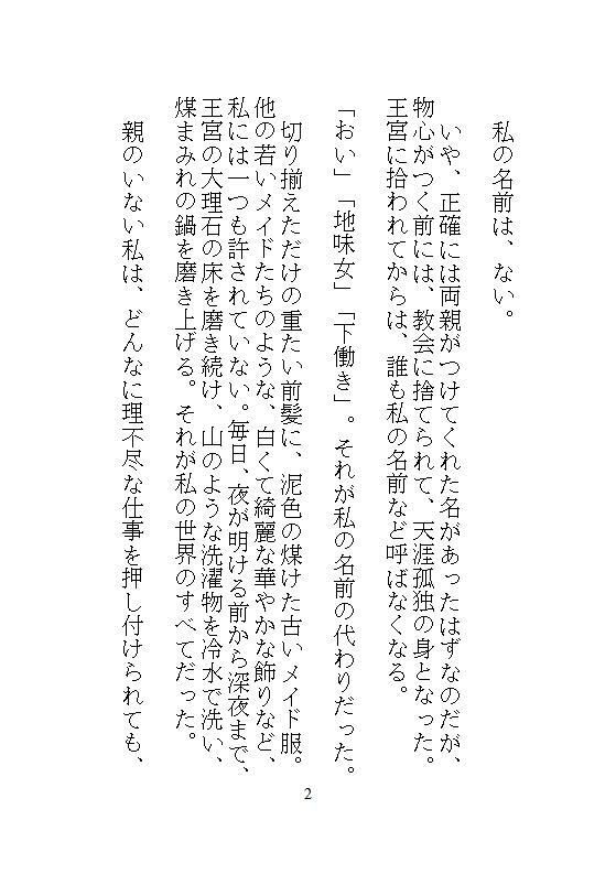 身代わりに地下牢へ落とされた地味メイド。狂暴な竜皇太子の本能を覚醒させ、ナカをマグマのような精子でどちゅどちゅ満たされる溺愛生活 サンプル9