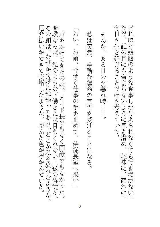 身代わりに地下牢へ落とされた地味メイド。狂暴な竜皇太子の本能を覚醒させ、ナカをマグマのような精子でどちゅどちゅ満たされる溺愛生活 サンプル10