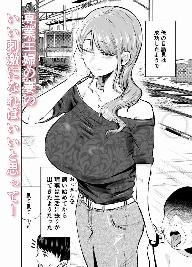 妻がおっさんに寝取られた話 サンプル画像