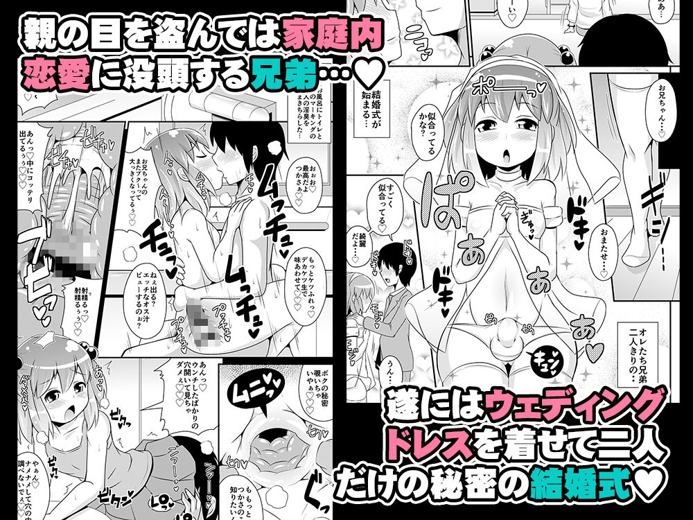 サンプル画像2