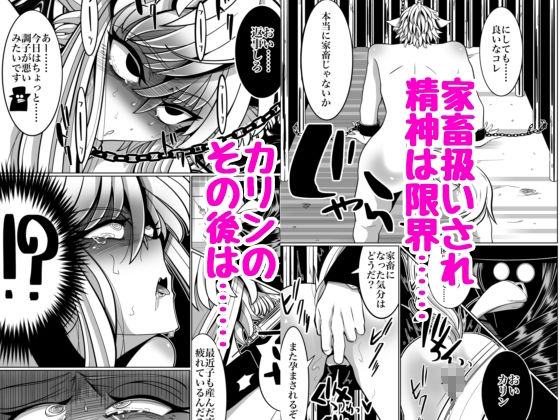 性奴●堕ちお姉ちゃんと鬼畜鬱牧場_11