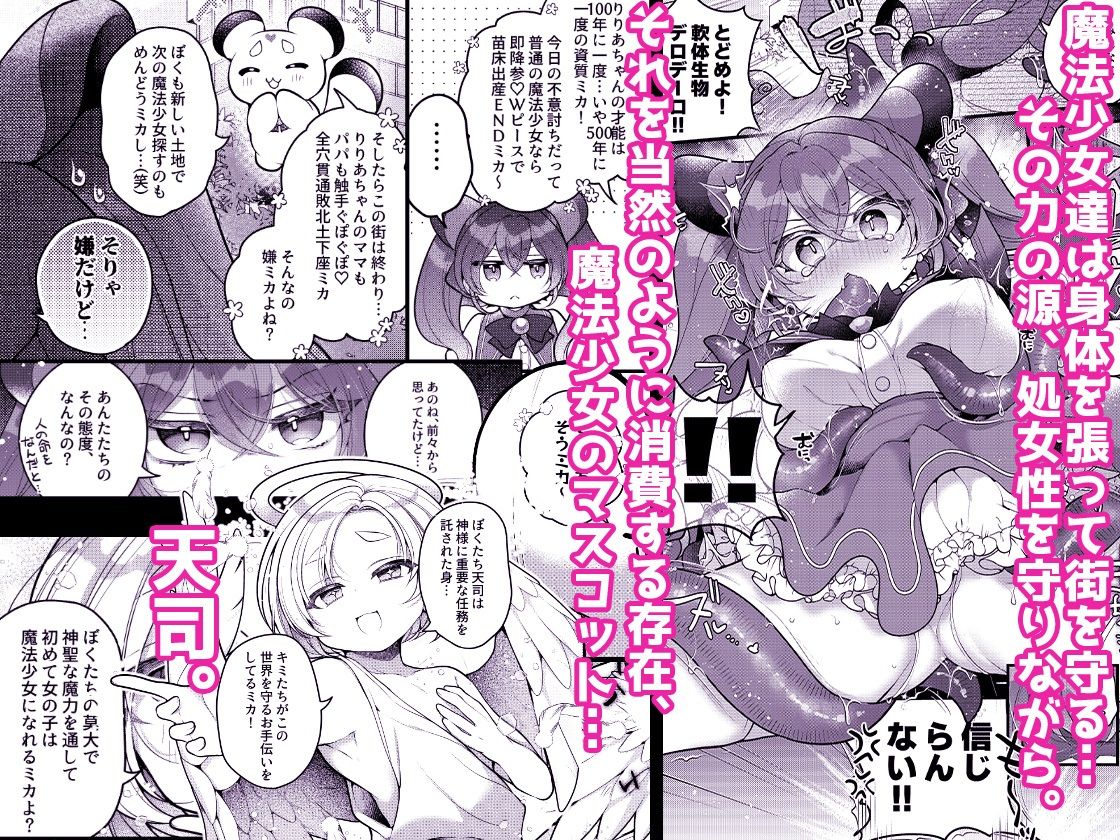 だったらあんたが魔法少女になりなさいよ！！ サンプル1