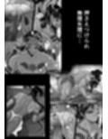 秘匿の森の獣たち サンプル画像 16