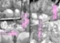 娘守歌試し読み3ページ