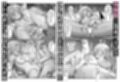 サンプル6