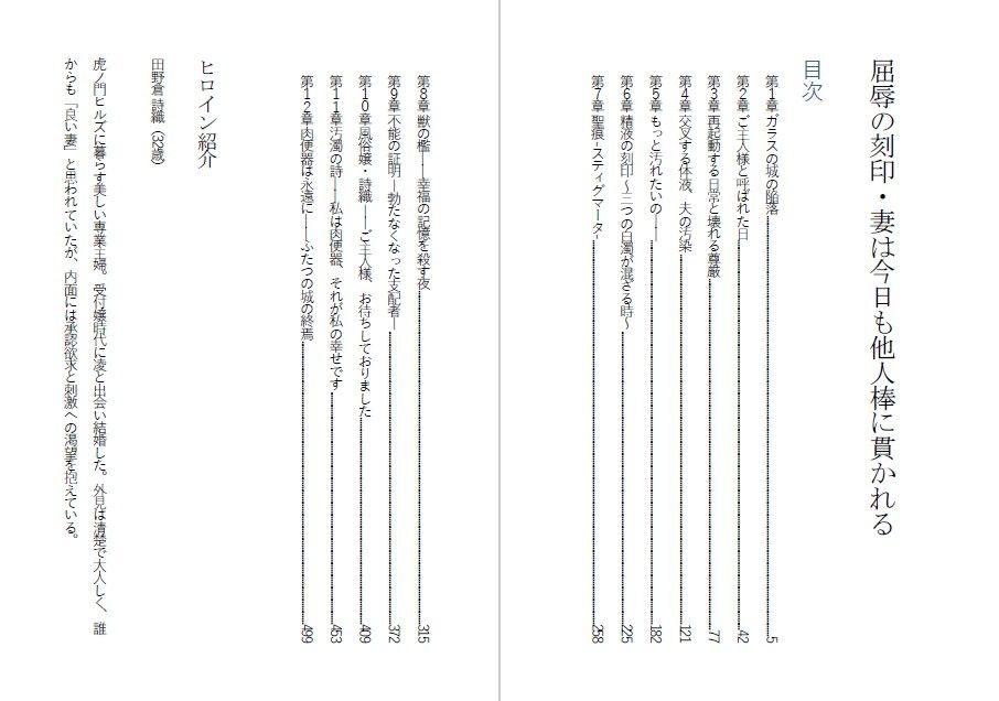 高慢な妻を堕とす・妻は今日も他人棒に貫かれる サンプル1