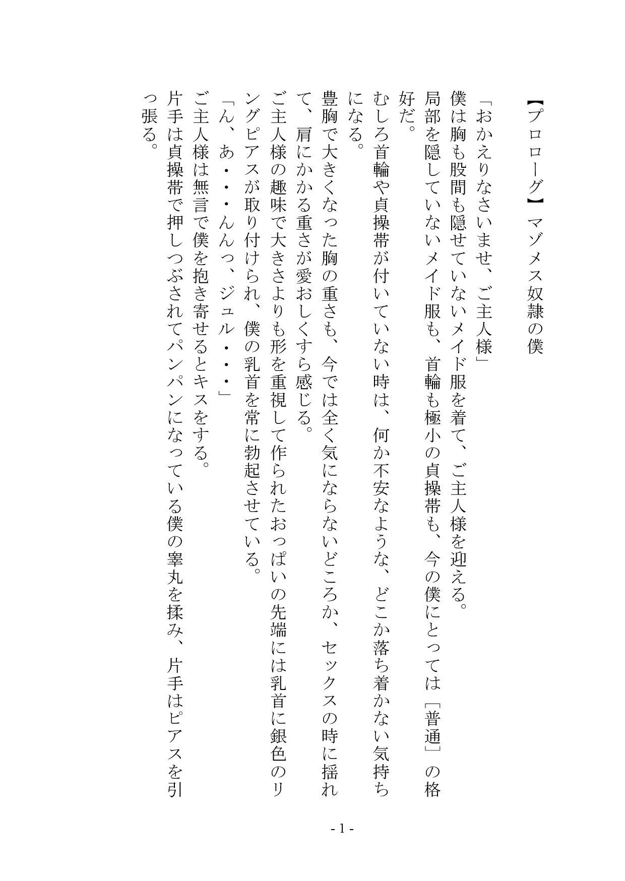 【小説+おまけイラスト7枚】僕はマゾメス奴●I 画像2