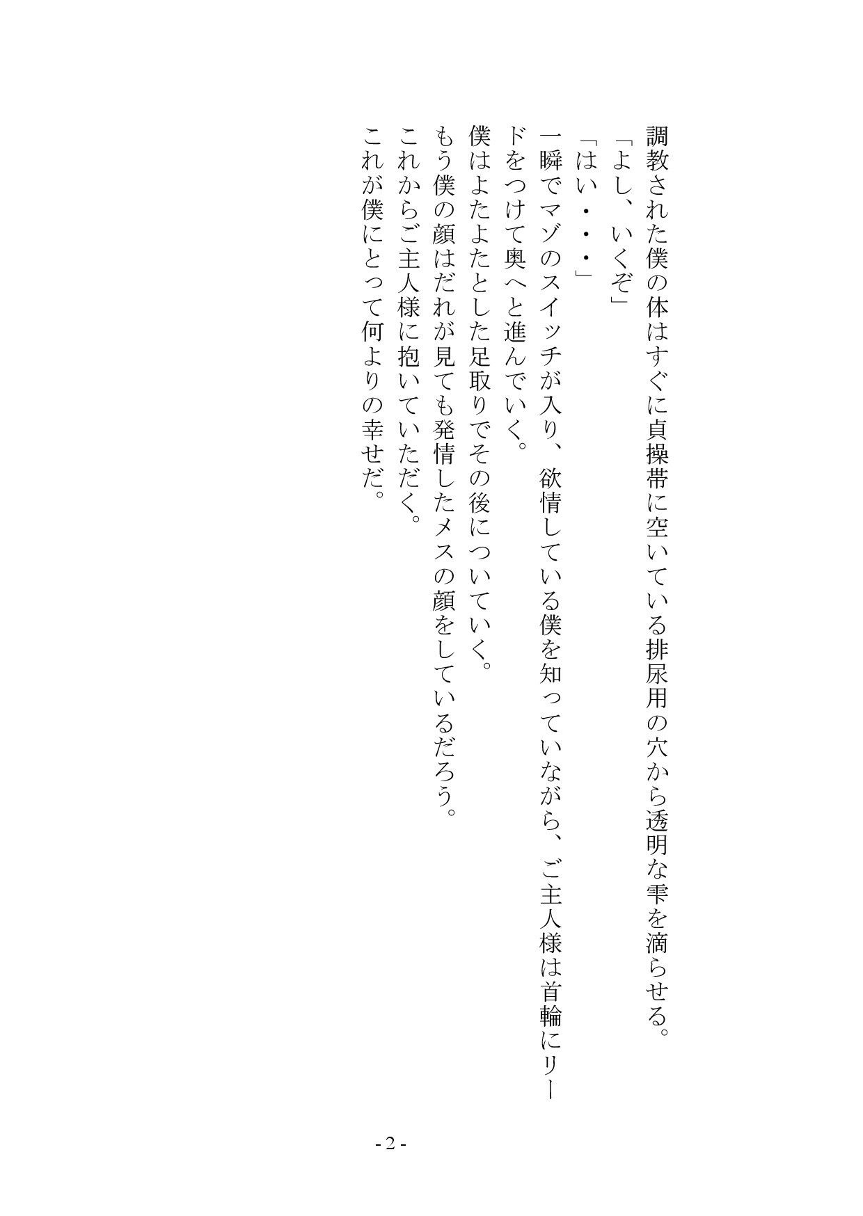 【小説+おまけイラスト7枚】僕はマゾメス奴●I 画像3