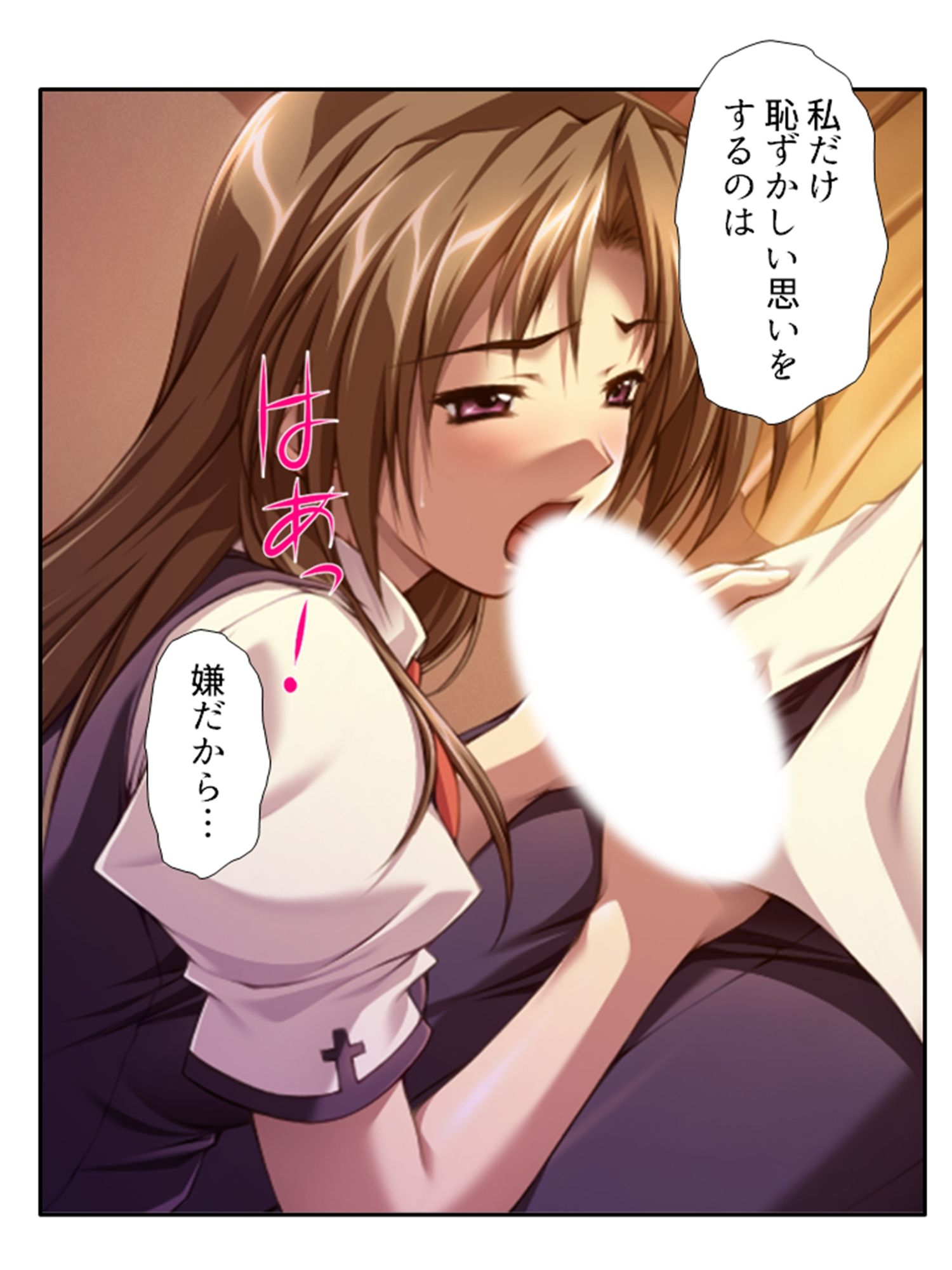 種付け天国！やりたい放題のビ●チ化孕ませ教育 ＜総集編＞ 画像6