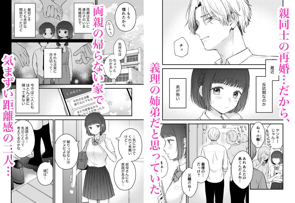 ツンギレ弟は姉ちゃんと繋がりたい サンプル1