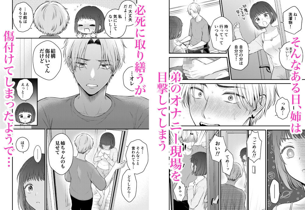 ツンギレ弟は姉ちゃんと繋がりたい サンプル2