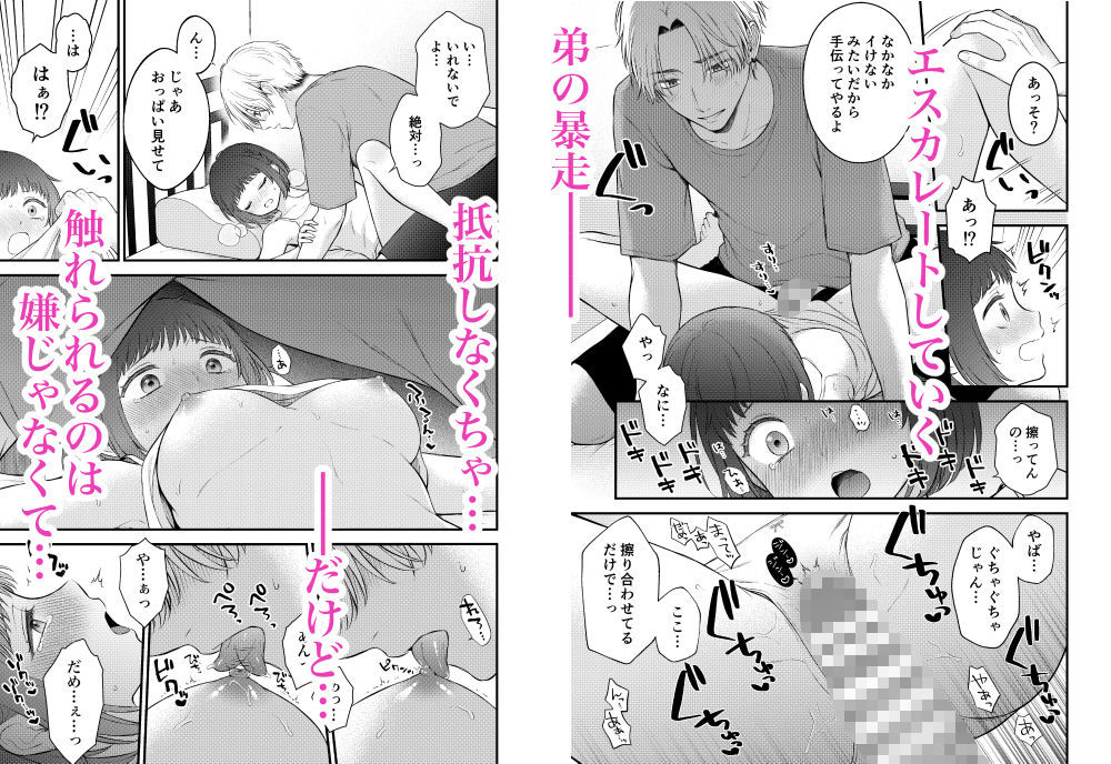 ツンギレ弟は姉ちゃんと繋がりたい サンプル4