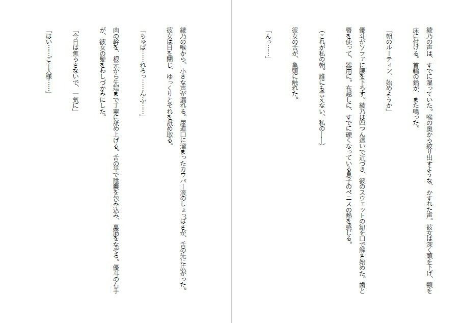 母親調教・息子に飼われる外資系エリート 画像3