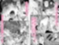 SNSで男だと思っていた相手が 不愛想だけど好き放題ヤらせてくれる 背の高い女だった話2試し読み8ページ