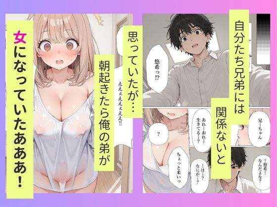 サンプル画像2