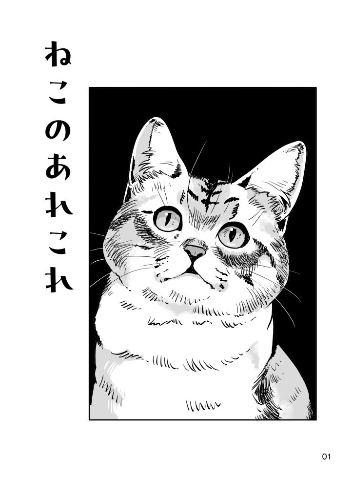 ねこのあれこれ 画像1