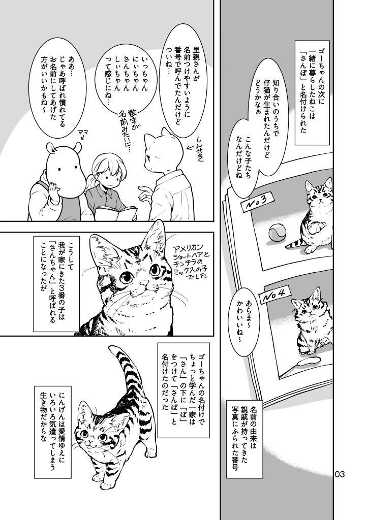 ねこのあれこれ 画像3