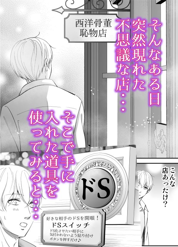 ドSスイッチ サンプル5