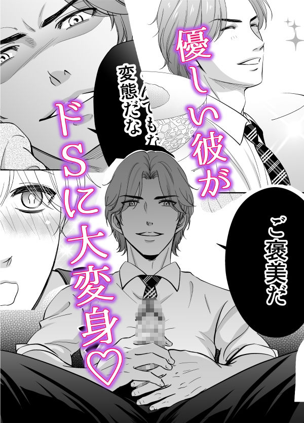 ドSスイッチ サンプル6