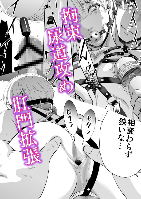 ドSスイッチ サンプル8