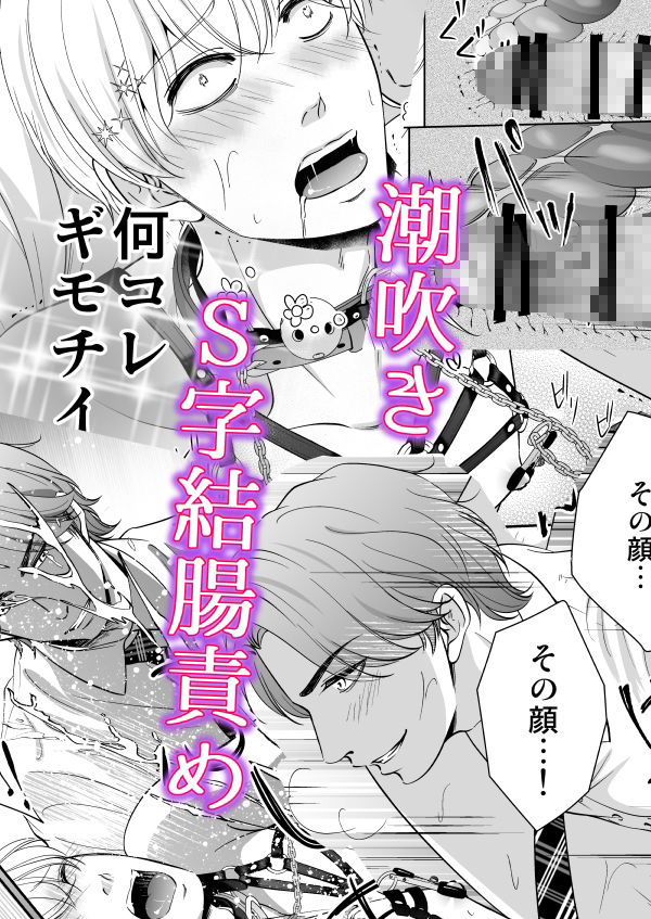 ドSスイッチ サンプル9