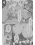 サンプル10