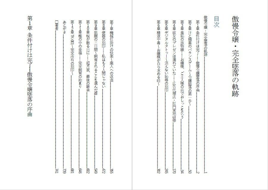 傲慢令嬢を肉便器に変える1ヶ月 画像1