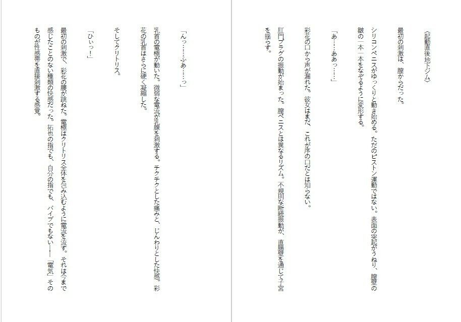 傲慢令嬢を肉便器に変える1ヶ月 画像5