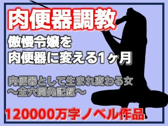 傲慢令嬢を肉便器に変える1ヶ月