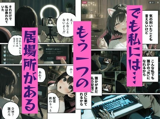 区役所職員だった私が気付いたら配信者になって月額100万円もする！！会員限定サブスクを作っていた話 画像4