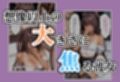 サンプル5