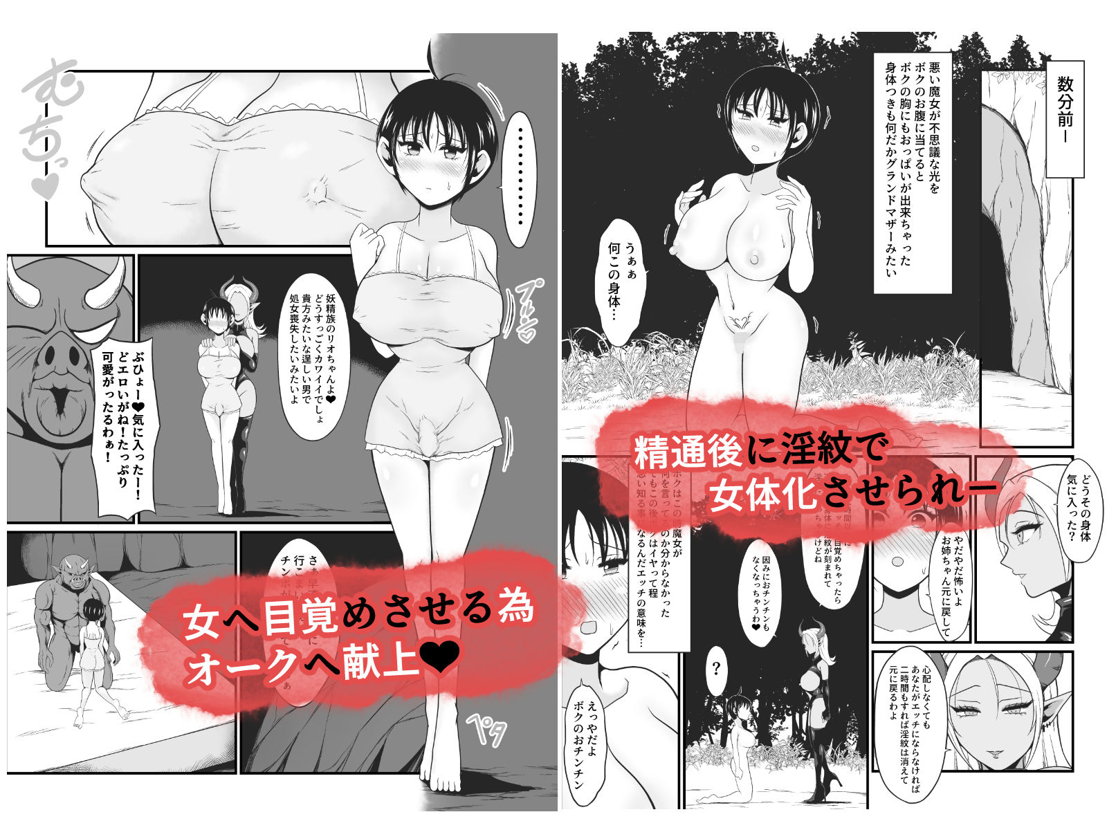 【TS悪堕ち】妖精のボクがオークのデカマラチンポに敗けてエッチな淫魔娘になっちゃうお話 画像4