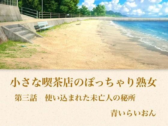 【官能小説】小さな喫茶店のぽっちゃり熟女 第三話 使い込まれた未亡人の秘所 画像1